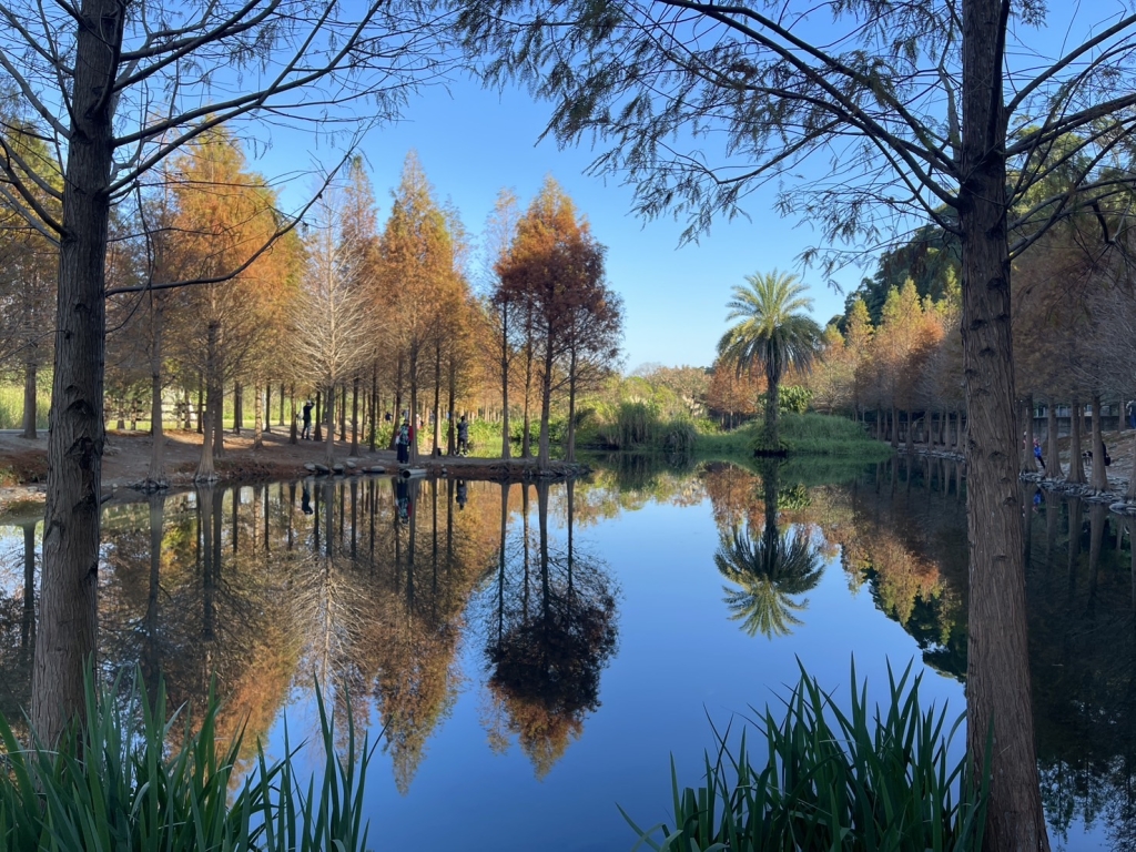 只有半天時間可遊玩，北部免費景點 月眉人工濕地生態公園